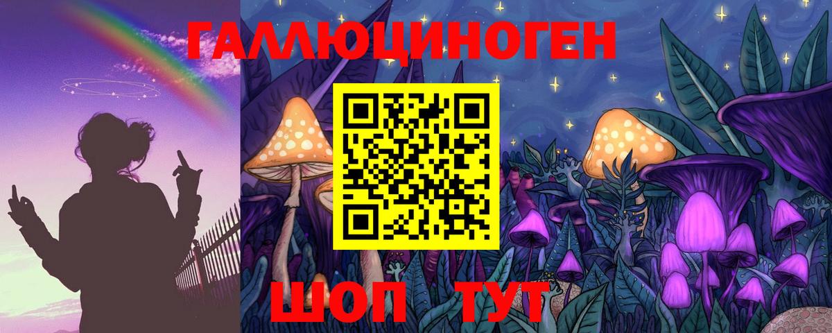 Галлюциногенные грибы Cubensis  Псилоцибиновые грибы прущие грибы  Белогорск  Вход с VPN 